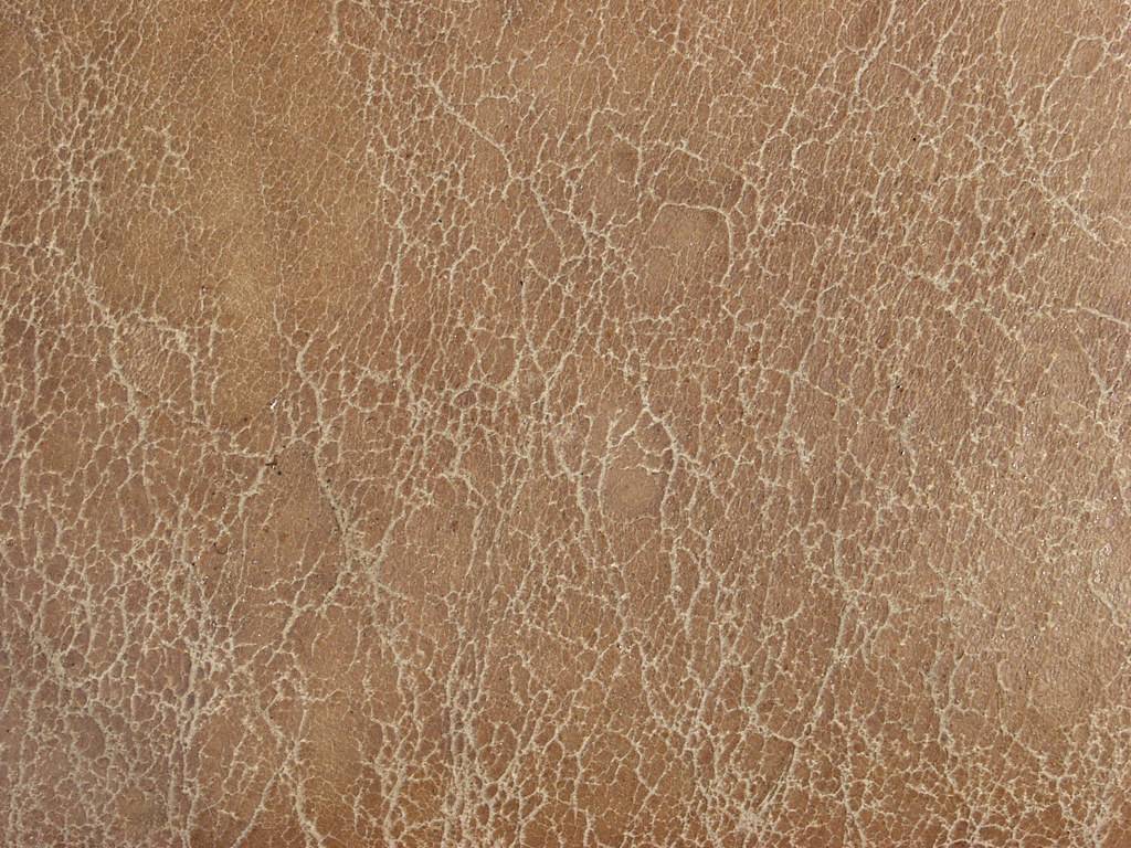 Leather Conditioning
