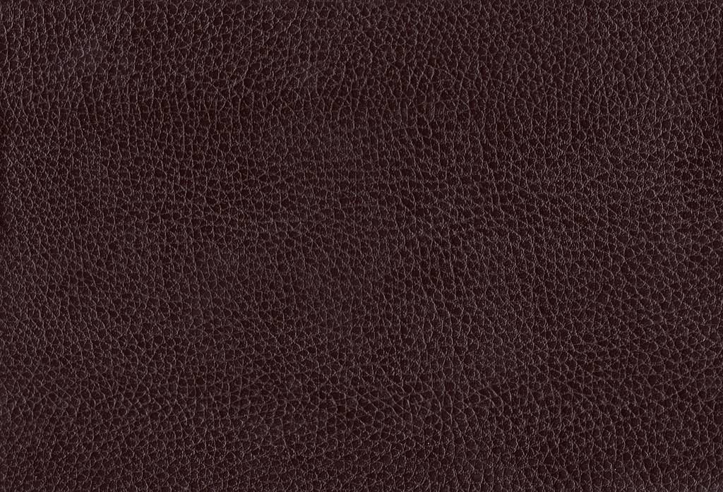 The Value of Specialist Leather Cleaning